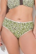 6 Pack of Panties- Colorful Leopard