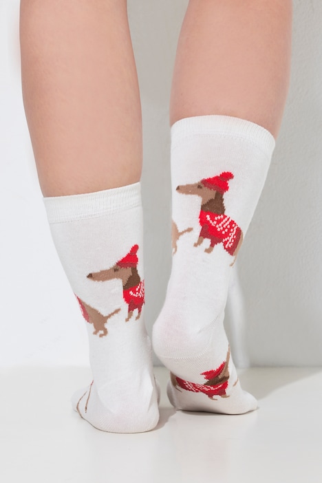 2 Pack Christmas Dachshund Socks
