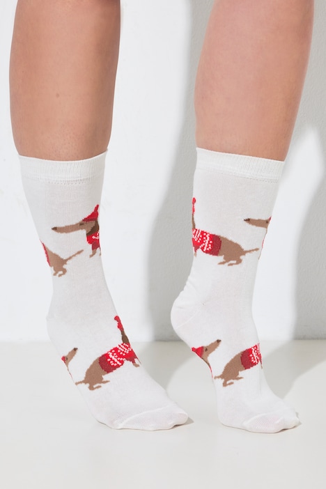 2 Pack Christmas Dachshund Socks