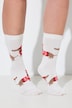 2 Pack Christmas Dachshund Socks