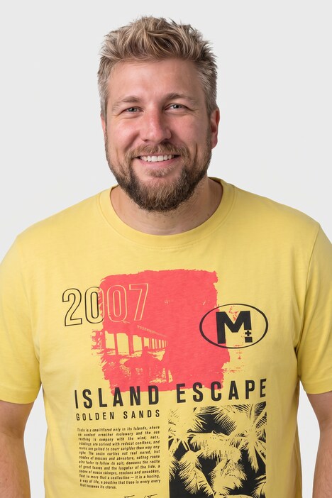 T-Shirt, Halbarm, Print, Rundhals, bis 8 XL