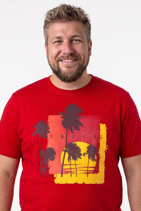 T-Shirts, 2er-Pack, Halbarm, Print, Rundhals, bis 8 XL