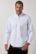 Chemise rayée en lin mélangé, s'inspirant des costumes traditionnels bavarois, manches longues et col officier, coupe Modern Fit - jusqu'au 8 XL