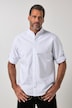 Chemise rayée en lin mélangé, s'inspirant des costumes traditionnels bavarois, manches longues et col officier, coupe Modern Fit - jusqu'au 8 XL