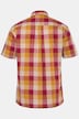 Geruit overhemd, korte mouw, kentkraag, speciale pasvorm tot 8XL, comfort fit, tot 8XL