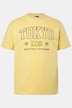Schlafanzug, Zweiteiler, T-Shirt, Brustprint, Shorts, bis 8 XL