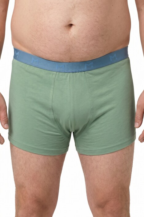 Hip-Pants FLEXLASTIC®, 3er-Pack, OEKO-TEX, Unterhose, bis 8 XL