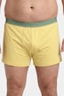 Hip-Pants FLEXLASTIC®, 3er-Pack, OEKO-TEX, Unterhose, bis 8 XL