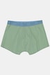 Hip-Pants FLEXLASTIC®, 3er-Pack, OEKO-TEX, Unterhose, bis 8 XL