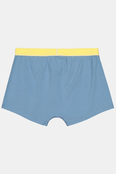 Hip-Pants FLEXLASTIC®, 3er-Pack, OEKO-TEX, Unterhose, bis 8 XL
