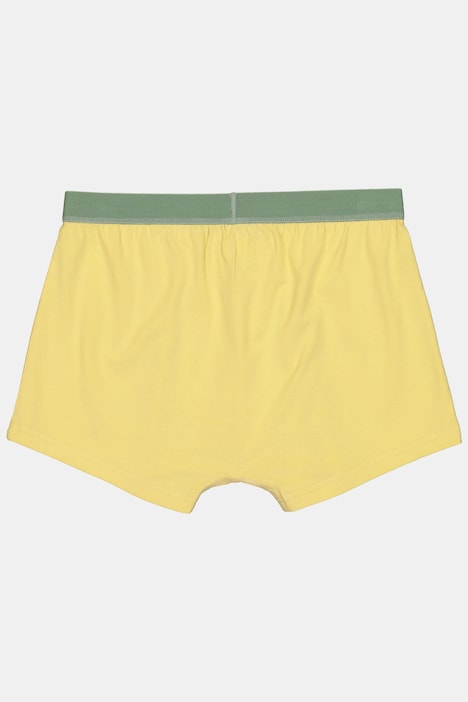 Hip-Pants FLEXLASTIC®, 3er-Pack, OEKO-TEX, Unterhose, bis 8 XL