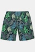 Badeshorts, Bauchfit, Alloverprint, Elastikbund, bis 8 XL