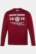 Langarmshirt, Rundhals, Print, bis 8 XL
