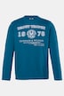 Shirt met lange mouwen, ronde hals, print, tot 8XL