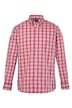 Karohemd, Langarm, Buttondown-Kragen, Comfort Fit, bis 8 XL