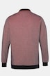 Men+ Langarmpoloshirt, Bauchfit, Piquee, Kontraste, bis 8 XL