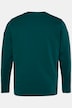 Men+ Langarmshirt, Print, bis 8 XL