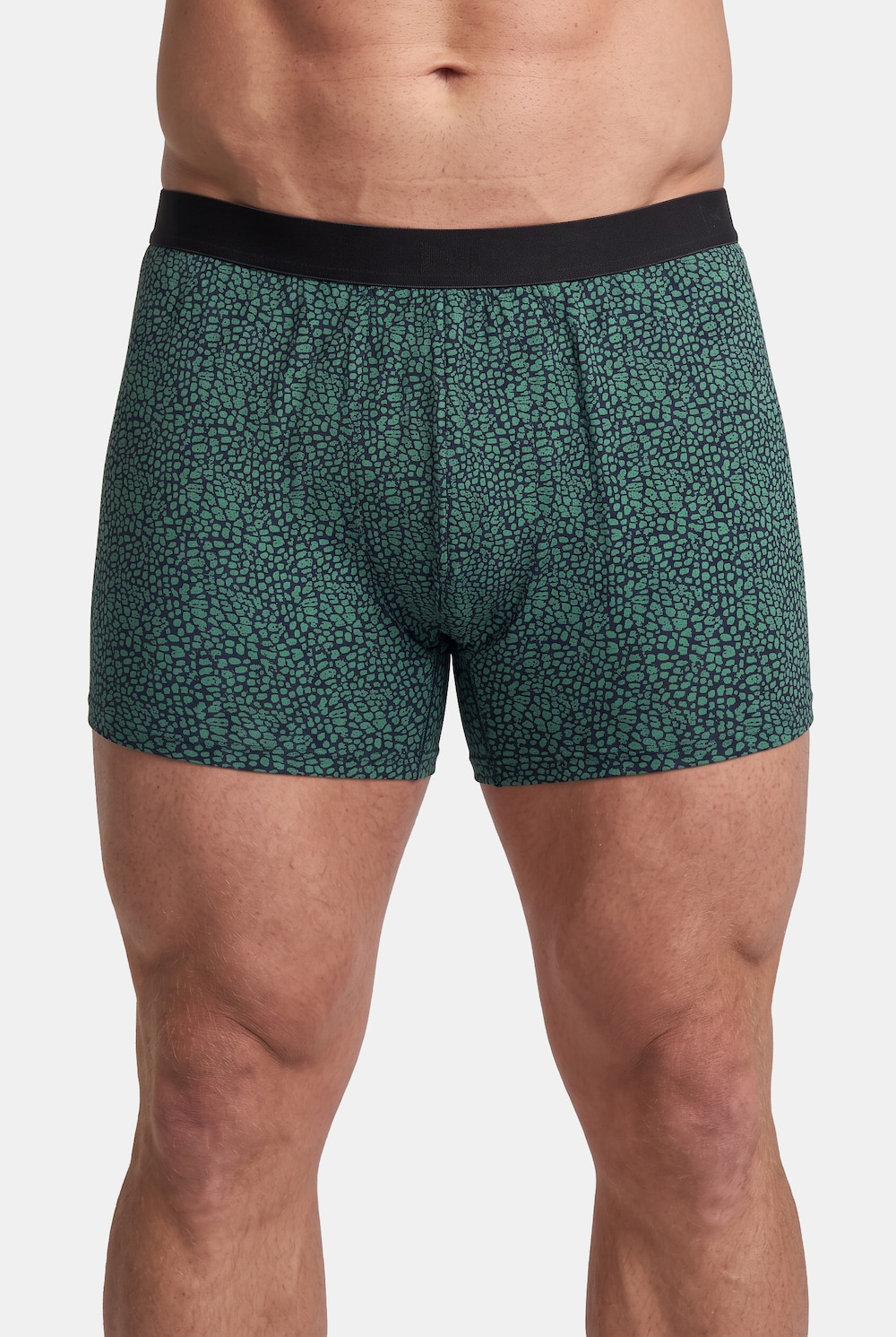 Hip-Pants FLEXLASTIC®, Bauchfit, 2er-Pack, Unterhose, bis 8 XL