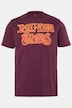 Tričko s potiskem kapely, polo rukávy, The Rolling Stones, vintage vzhled, do vel. 8 XL