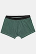Hip-Pants FLEXNAMIC®, Homewear, Bauchfit, OEKO-TEX, 2er-Pack, Unterhose, bis 8XL