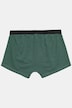 Hip-Pants FLEXNAMIC®, Homewear, Bauchfit, OEKO-TEX, 2er-Pack, Unterhose, bis 8XL
