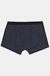 Hip-Pants FLEXNAMIC®, Homewear, Bauchfit, OEKO-TEX, 2er-Pack, Unterhose, bis 8XL