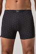 Mid-Pants FLEXNAMIC®, Homewear, OEKO-TEX, 2er-Pack, Unterhose, bis 8XL