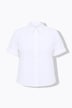 Papertouch-Bluse, Hemdkragen, Halbarm