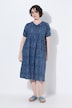 Striped Voile Puff Sleeve Dress