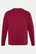 Men+ Langarmshirt, Print, bis 8 XL