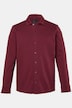 Sweathemd, Langarm, Kentkragen, kastiger Fit, bis 8 XL