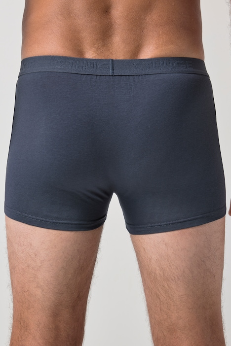 Hip-Pants FLEXLASTIC®, Bauchfit, OEKO-TEX, 3er-Pack, Unterhose, bis 8 XL