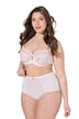 Maxislip, blickdichte Spitze, Mesh