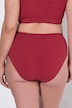 5 Pack of Midi Briefs: Snowflake