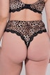 TruYou String, Leo, Spitze