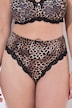 TruYou String, Leo, Spitze