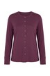 Shirt, Zier-Knopfleiste, Rundhals, Langarm, Biobaumwolle