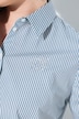 Hemdbluse, Streifen, Motivdruck, Hemdkragen, Langarm