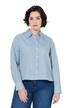 Hemdbluse, Streifen, Motivdruck, Hemdkragen, Langarm