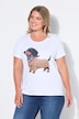Dachshund Short Sleeve Graphic Tee