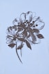 Sweatshirt, Loose Fit, Blume mit Pailletten