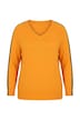 Pullover, bequemer Fit, Raglanärmel, farbiges Piping