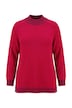 Pullover, Straight Fit, Stehkragen und Bündchen mit Streifen