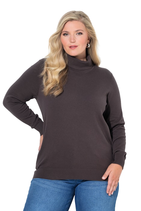 Roll-Neck Long Sleeve Sweater