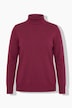 Rollkragenpullover, Straight Fit, Langarm