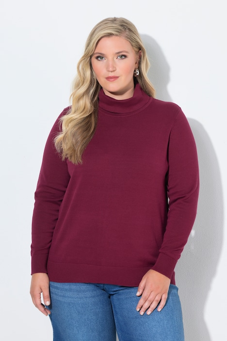 Rollkragenpullover, Straight Fit, Langarm