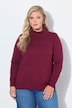 Rollkragenpullover, Straight Fit, Langarm