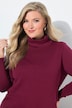 Rollkragenpullover, Straight Fit, Langarm