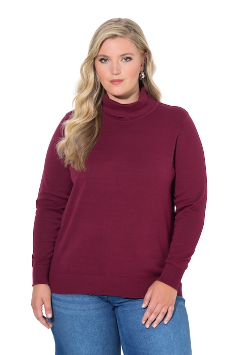 Roll-Neck Long Sleeve Sweater