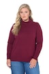Roll-Neck Long Sleeve Sweater